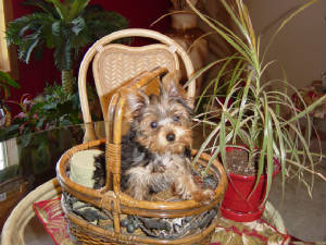 waterpondandnita022.jpg