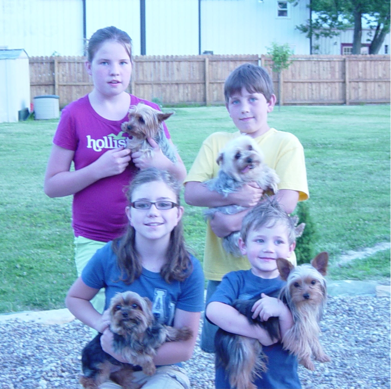 grandkidspuppy1.jpg