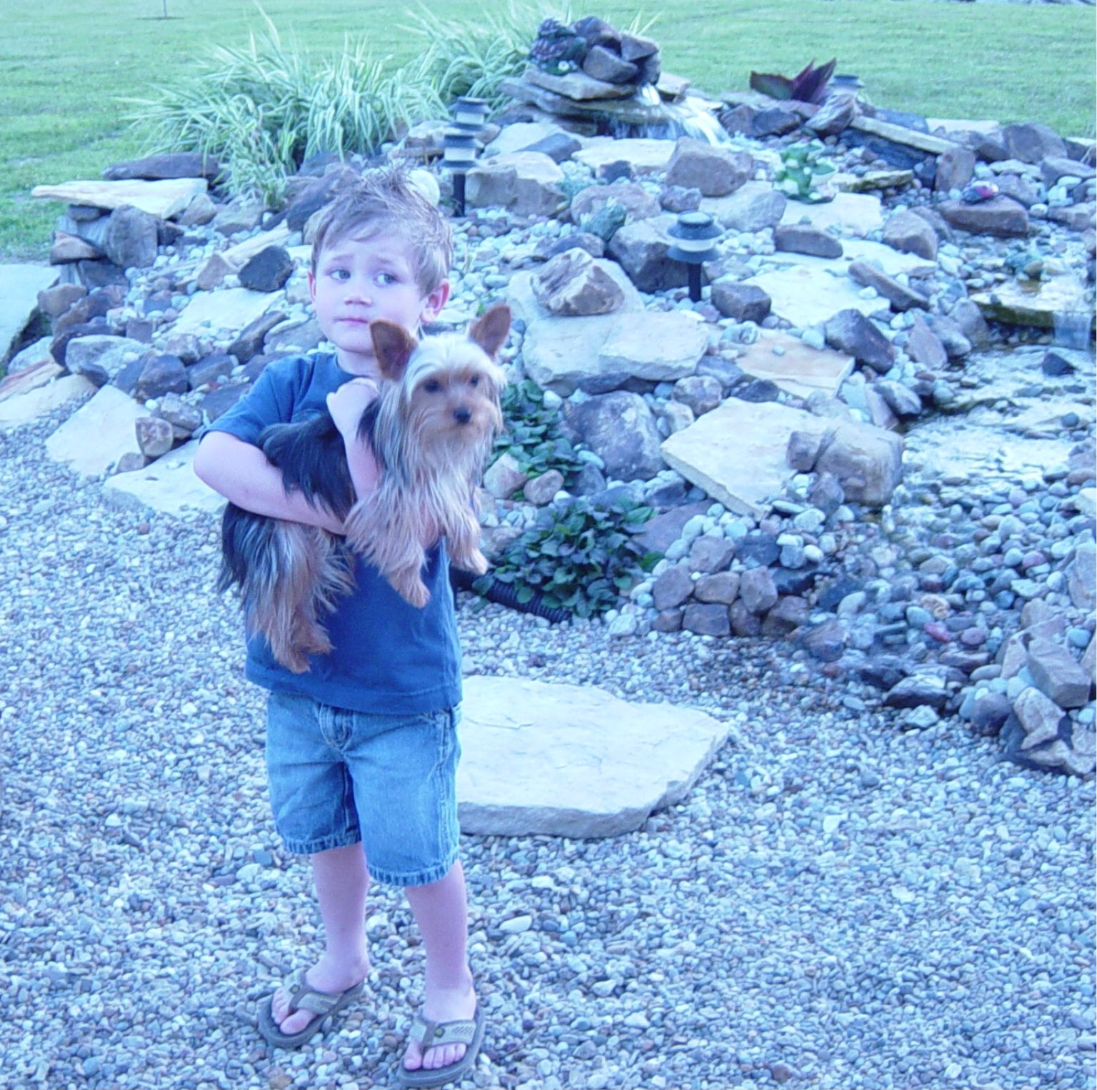 tysenpuppy1.jpg